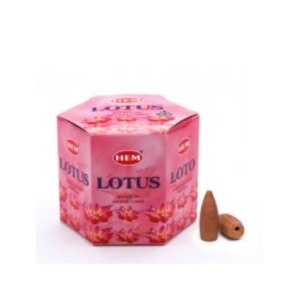 Hem Lotus Backflow Cone