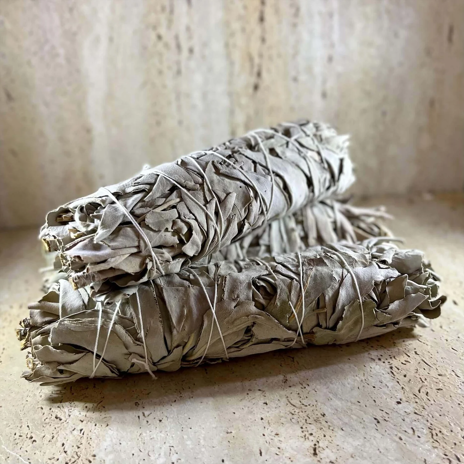 California White Sage 10cm